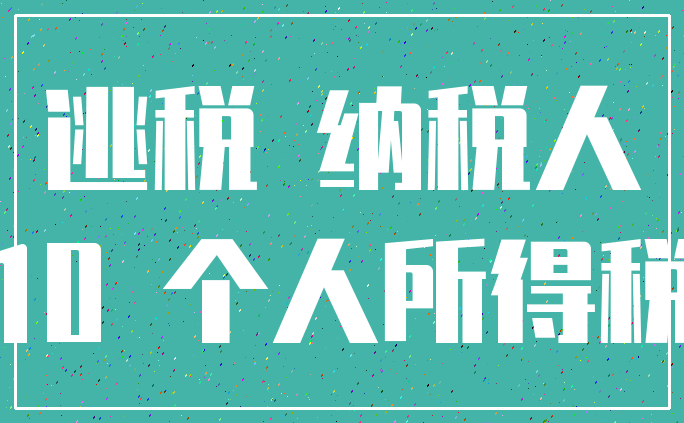 逃税 纳税人_10 个人所得税