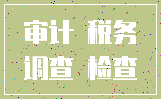 审计 税务_调查 检查