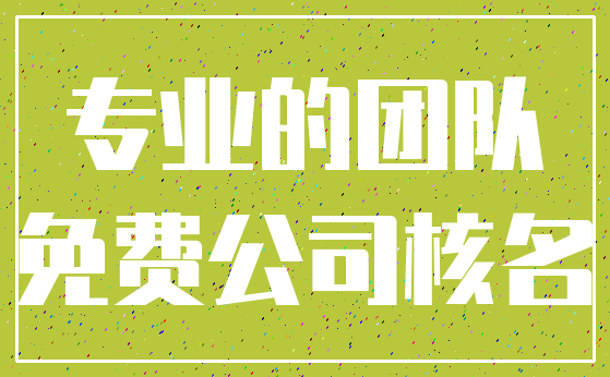 专业的团队_免费公司核名