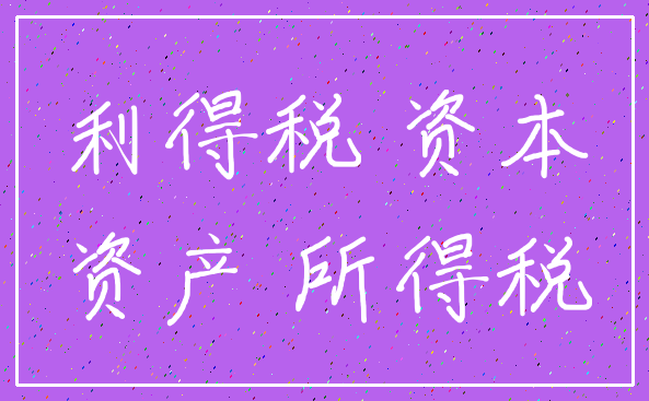 利得税 资本_资产 所得税