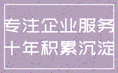 专注企业服务_十年积累沉淀