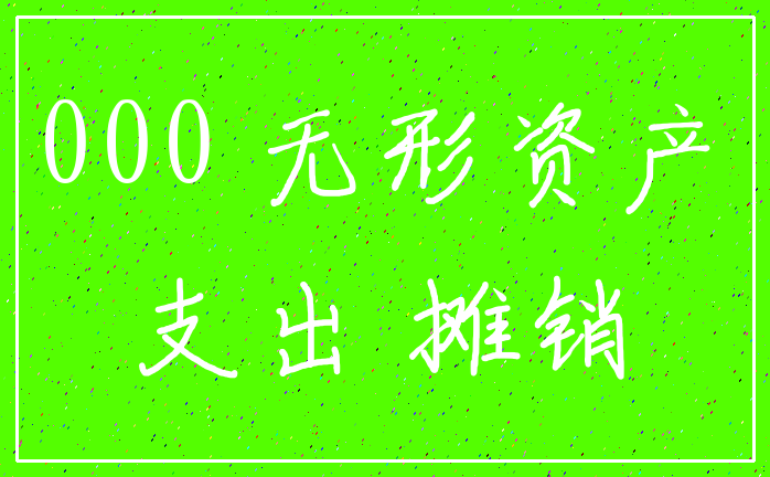 000 无形资产_支出 摊销
