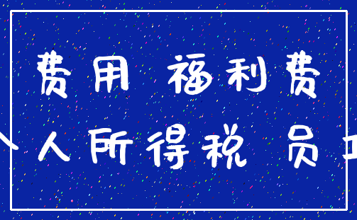 费用 福利费_个人所得税 员工