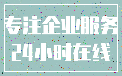 专注企业服务_24小时在线