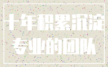 十年积累沉淀_专业的团队