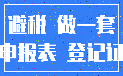 避税 做一套_申报表 登记证