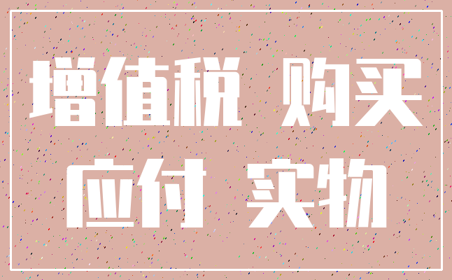 增值税 购买_应付 实物