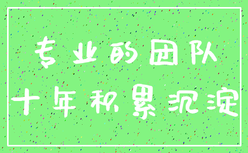 专业的团队_十年积累沉淀