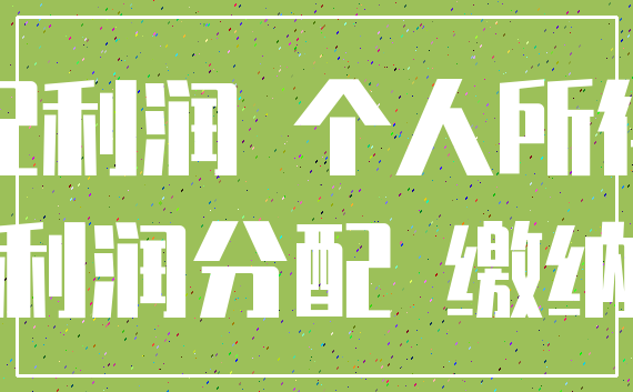 分配利润 个人所得税_利润分配 缴纳