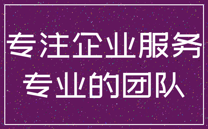 专注企业服务_专业的团队