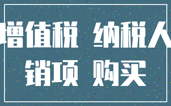增值税 纳税人_销项 购买