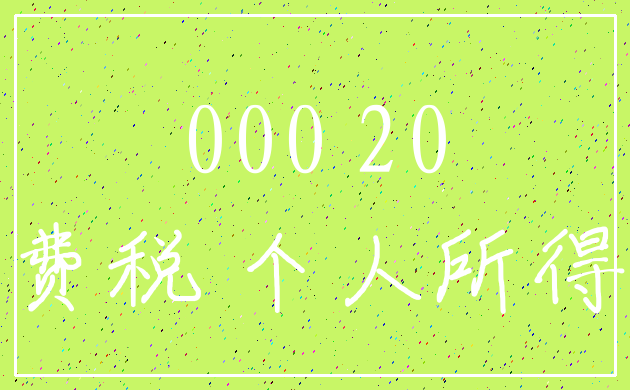 000 20_消费税 个人所得税