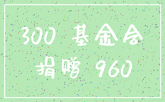 300 基金会_捐赠 960