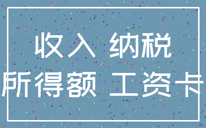 收入 纳税_所得额 工资卡