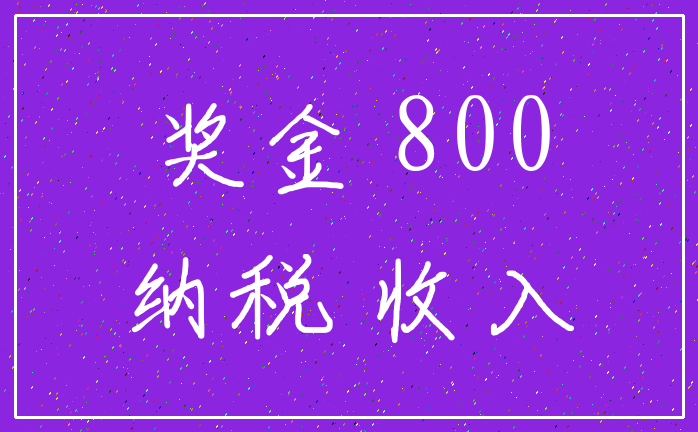 奖金 800_纳税 收入