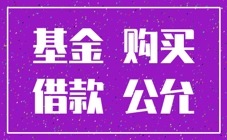 基金 购买_借款 公允