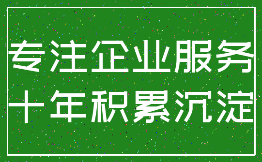 专注企业服务_十年积累沉淀