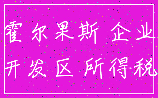 霍尔果斯 企业_开发区 所得税