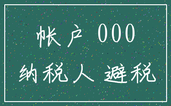 帐户 000_纳税人 避税