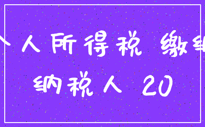 个人所得税 缴纳_纳税人 20