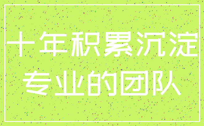 十年积累沉淀_专业的团队