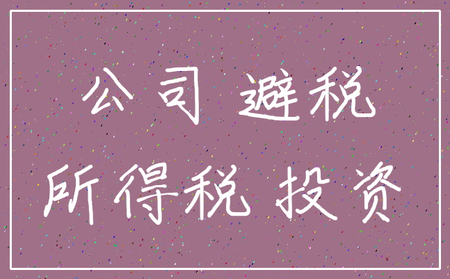 公司 避税_所得税 投资