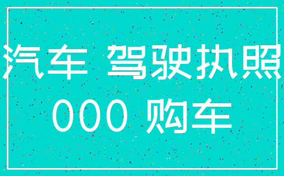 汽车 驾驶执照_000 购车