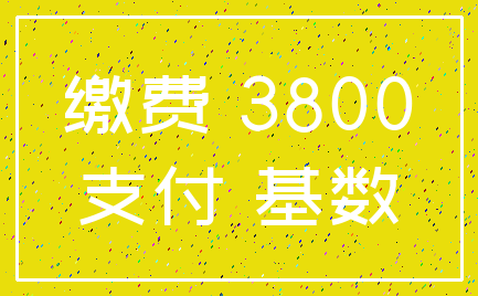 缴费 3800_支付 基数