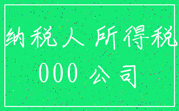 纳税人 所得税_000 公司
