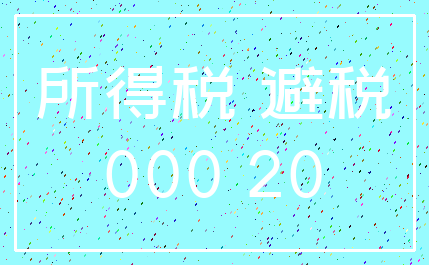所得税 避税_000 20
