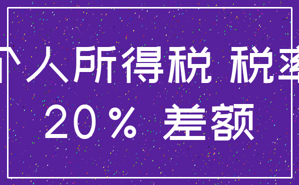 个人所得税 税率_20% 差额