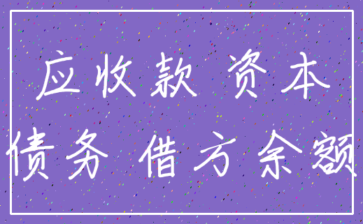 应收款 资本_债务 借方余额