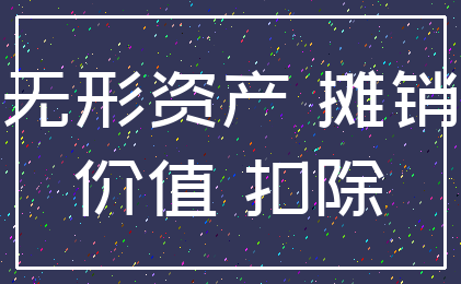 无形资产 摊销_价值 扣除