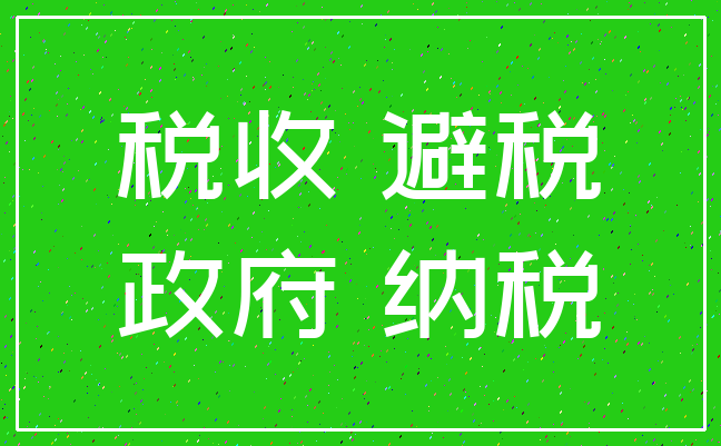 税收 避税_政府 纳税