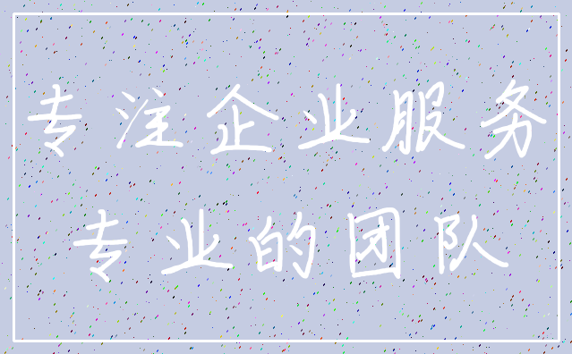 专注企业服务_专业的团队