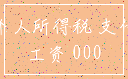 个人所得税 支付_工资 000