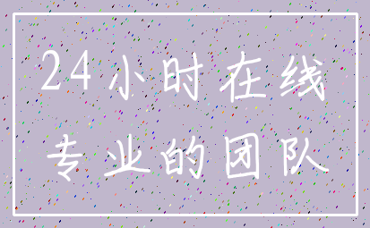 24小时在线_专业的团队