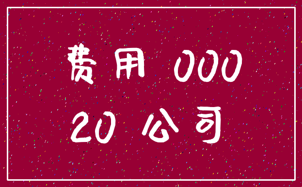 费用 000_20 公司