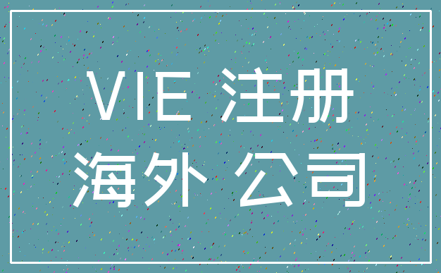 VIE 注册_海外 公司