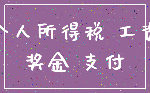个人所得税 工资_奖金 支付