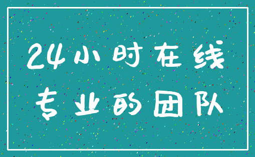 24小时在线_专业的团队