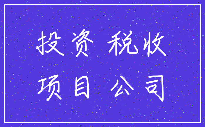 投资 税收_项目 公司