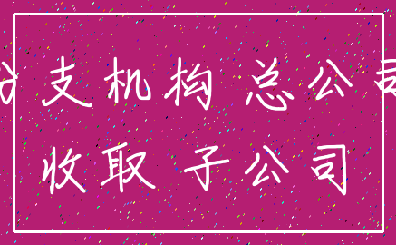 分支机构 总公司_收取 子公司