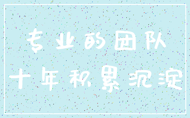 专业的团队_十年积累沉淀
