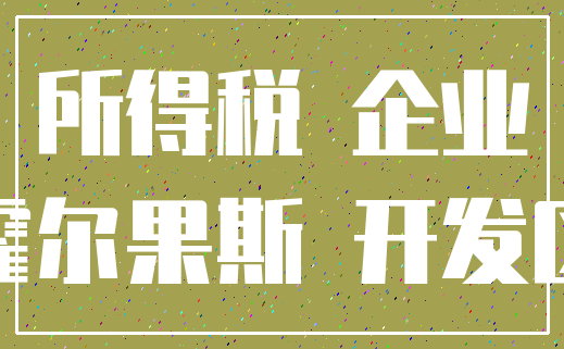 所得税 企业_霍尔果斯 开发区