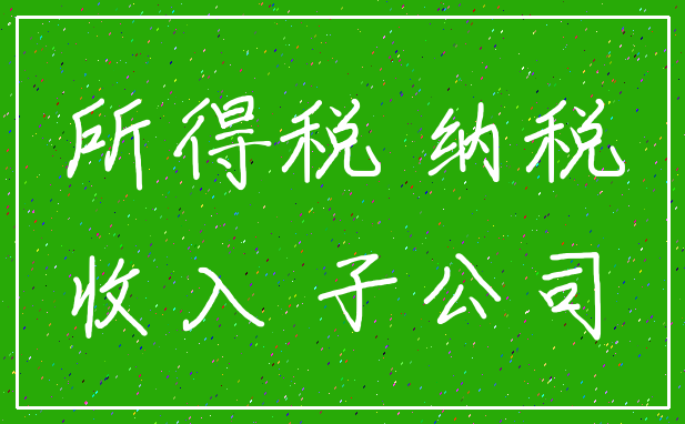 所得税 纳税_收入 子公司