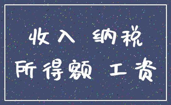 收入 纳税_所得额 工资