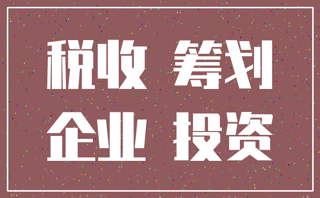 税收 筹划_企业 投资
