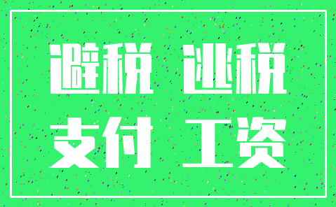 避税 逃税_支付 工资