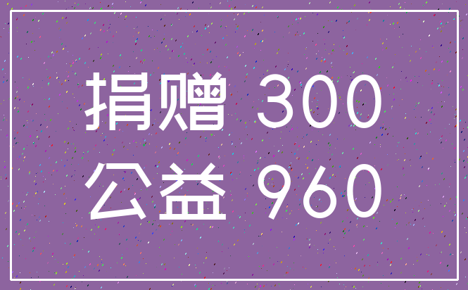 捐赠 300_公益 960